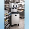 image:imageScotsman Meridian PushButton Countertop Nugget Ice Maker amp Water Dispenser  500 lbDay 40 lb Storage Bin Stand wDoor500 lb  Day  40 lb Storage  Stand w Door