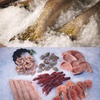 image:imageScotsman Prodigy Plus Flake Ice 22 Ice Maker  800 lbDay450 lb  Day  No Storage