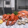 image:imageScotsman Prodigy Plus Flake Ice 22 Ice Maker  800 lbDay800 lb  Day  370 lb Storage