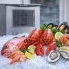 image:imageScotsman Prodigy Plus Flake Ice 22 Ice Maker  800 lbDay800 lb  Day  No Storage